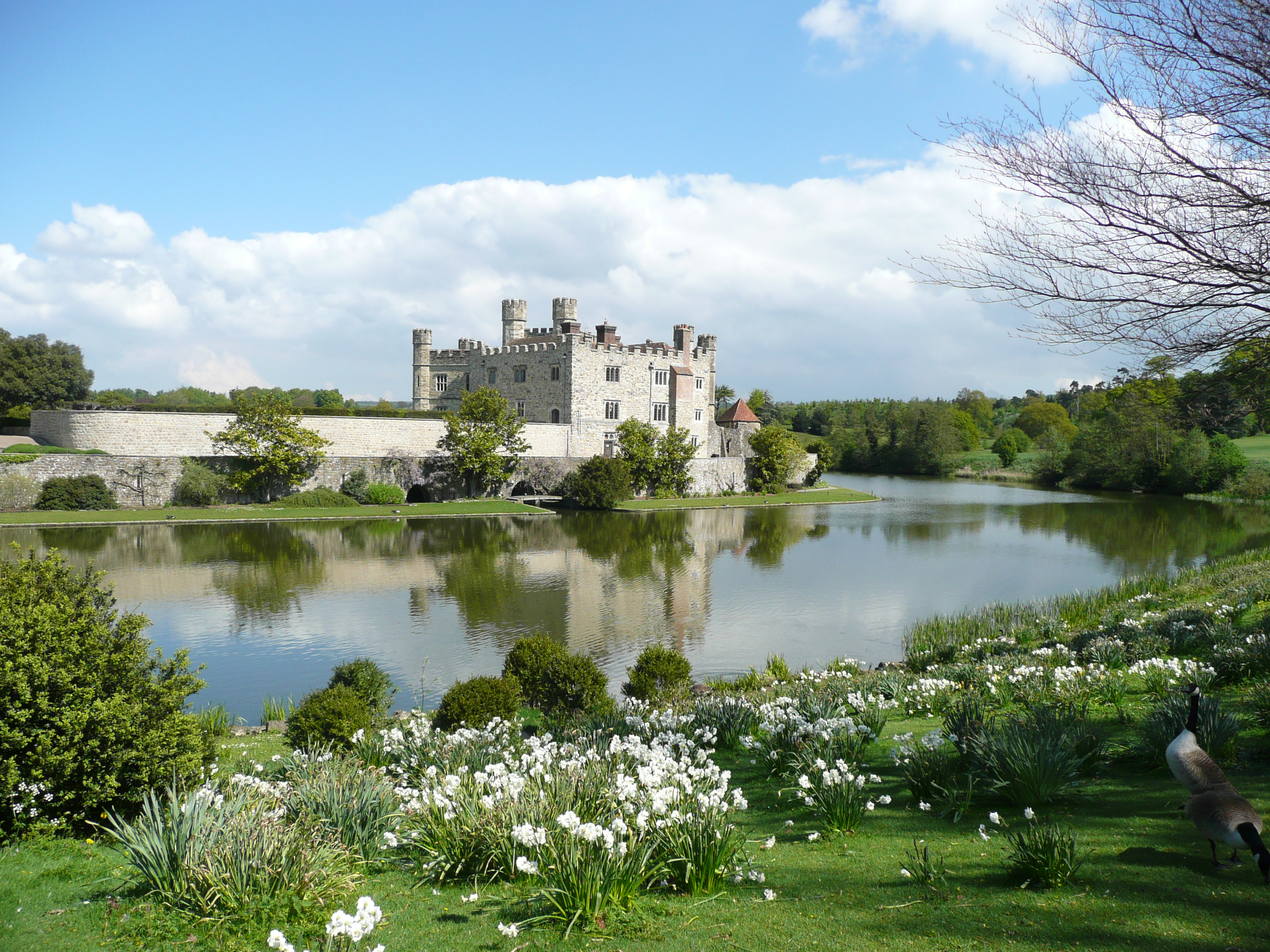 Photo of Leeds Castle in the background and the large mote surrounding it.